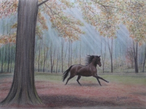 Pferd auf Waldlichtung