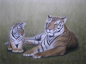 Tiger mit Tigerbaby