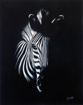 Zebra - Pastellkreide auf Velours