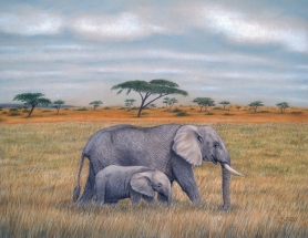 Elefanten 04 DSC02387
