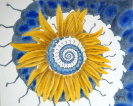 Sonnenblume Spirale S PS 25.05.2025 DSC03950